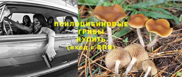 прущий лед Пестово